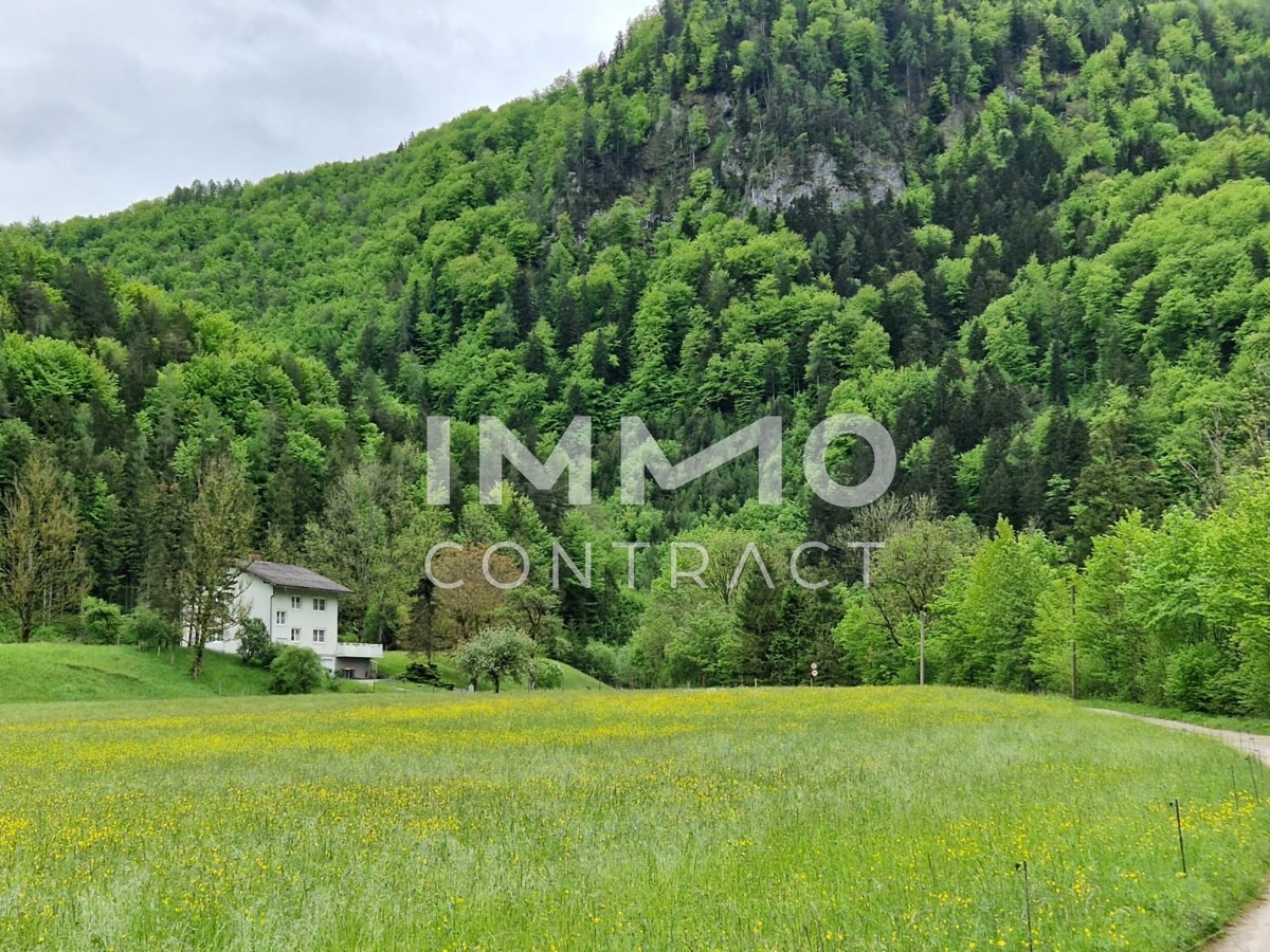 Zweifamilienhaus - absolute Alleinlage / / 3291 Kienberg / Bild 8