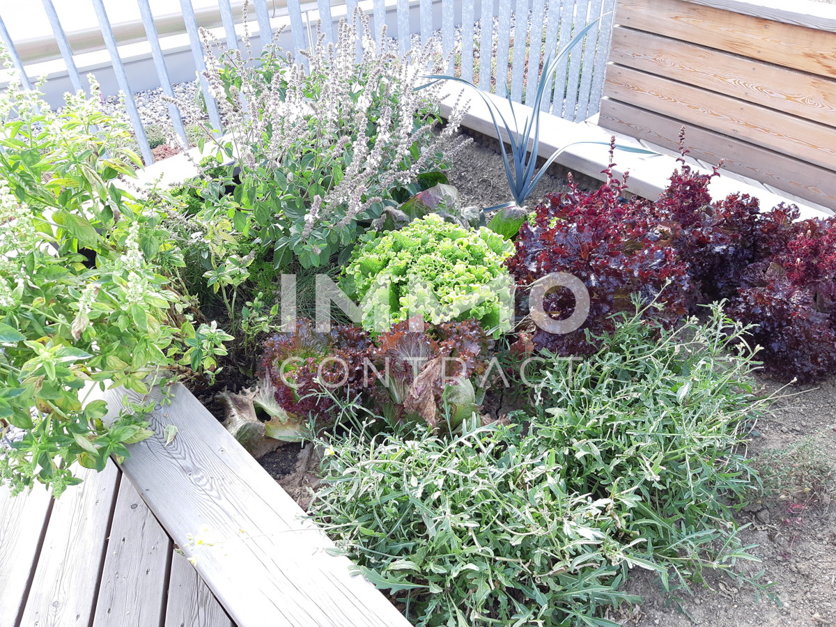LETZTES OG: SCHNE 2-ZIMMERWOHNUNG MIT TOP AUSSTATTUNG+ BALKON + TG  MIT AKTION 1 MONAT MIETFREI /  / 8020 Graz / Bild 2