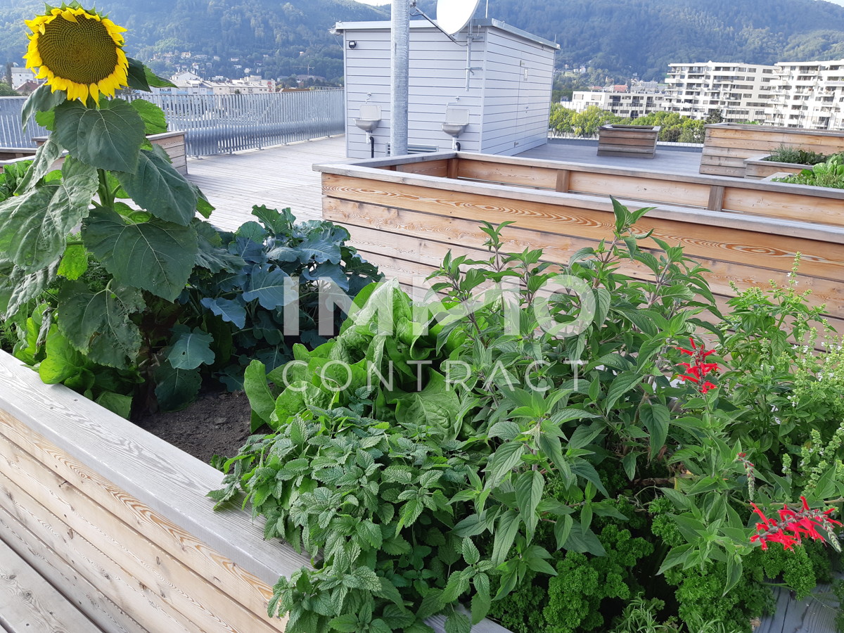 ACHTUNG REININGHAUS LETZTER STOCK MIETAKTION  2-ZIMMERWOHNUNG MIT TOP- GRUNDRISS + BALKON + TG-PLATZ /  / 8020 Graz / Bild 0