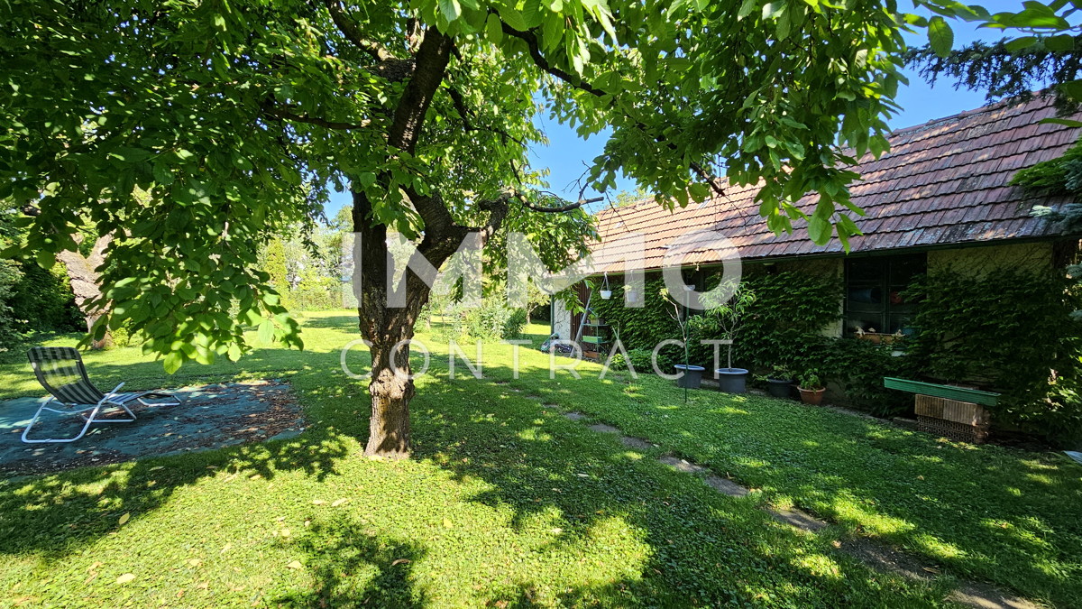 Parkhnliches, groes, traumhaftes Grundstck mit Altbestand in ruhiger Ortsrandlage /  / 2332 Hennersdorf / Bild 2