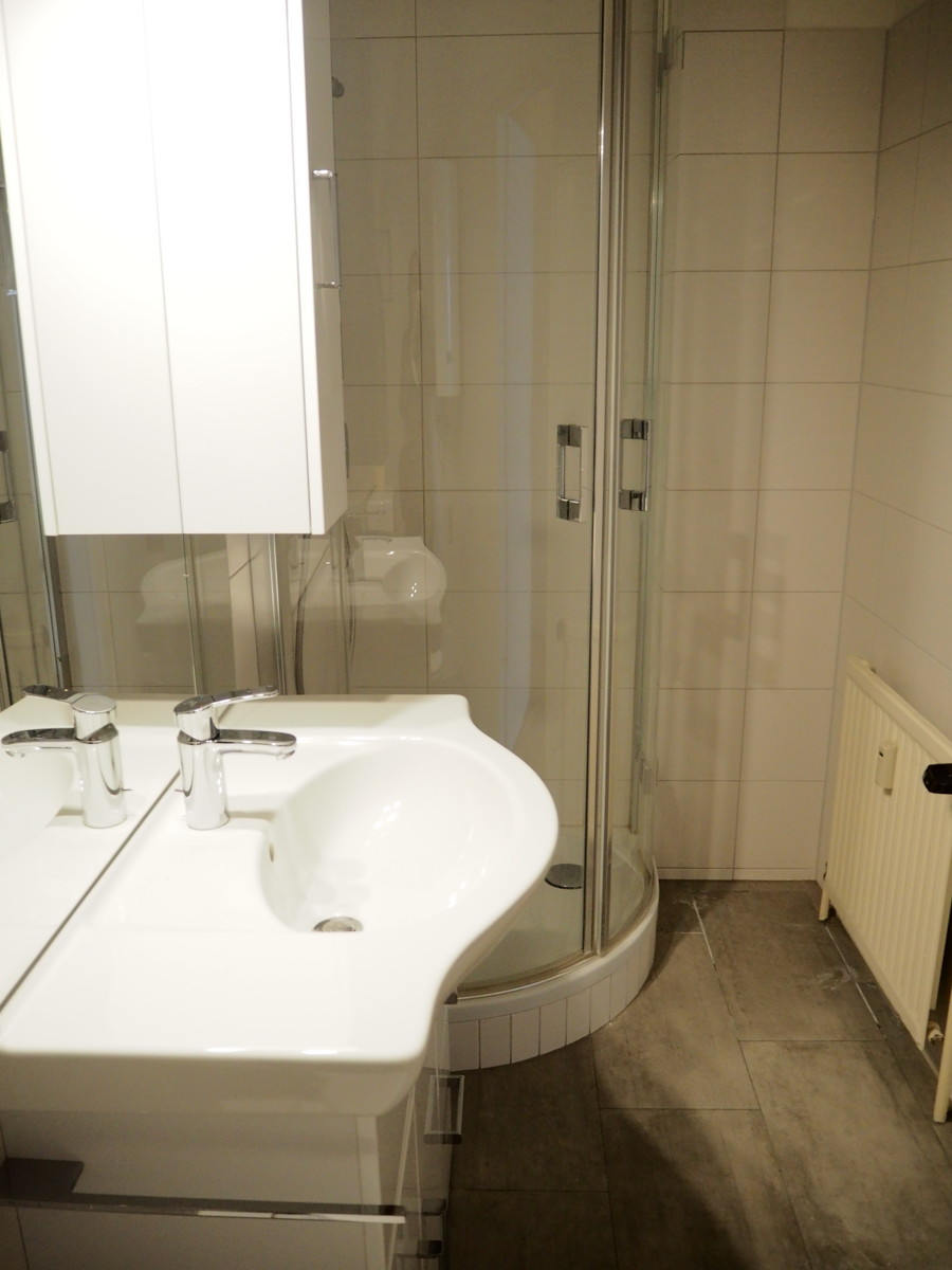 Elegante Loft-Wohnung mit Stuckdecken & Intarsientren /  / 4600 Wels / Bild 7