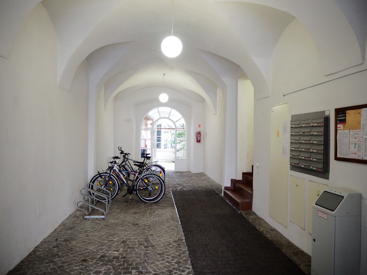Elegante Loft-Wohnung mit Stuckdecken & Intarsientren /  / 4600 Wels / Bild 9