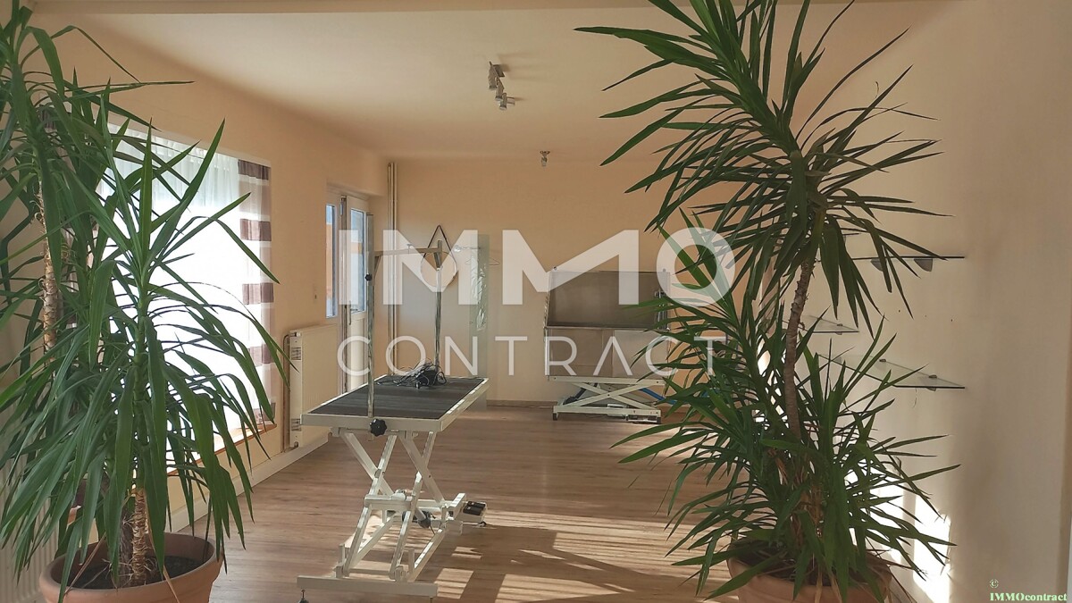 Geräumiges Mehrfamilienhaus mit großem Garten, sowie ehemaligen kleinen Geschäftslokal neben Bahnhof /  / 3380 Pöchlarn / Bild 3