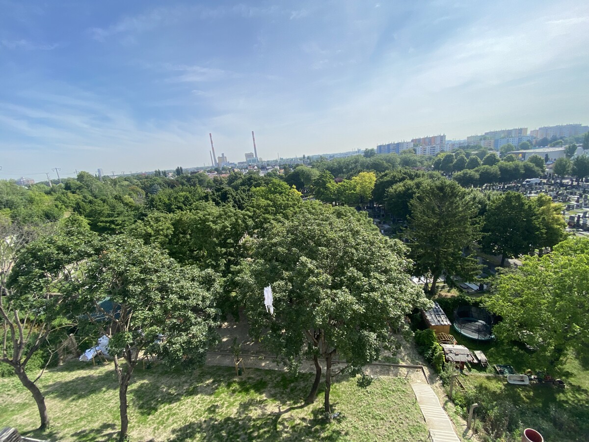 U3  ERSTBEZUG Top Anlage Dachwohnung 2 Zimmer + Terrasse =DAS LAURENZ= 1 bedroom apartment+terrace /  / 1110 Wien / Bild 1