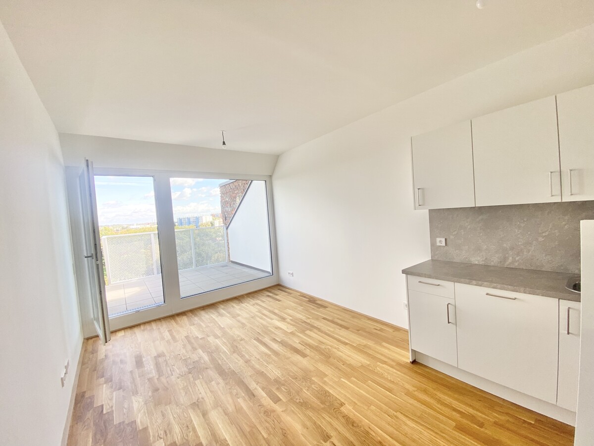 U3  ERSTBEZUG Top Anlage Dachwohnung 2 Zimmer + Terrasse =DAS LAURENZ= 1 bedroom apartment+terrace /  / 1110 Wien / Bild 0