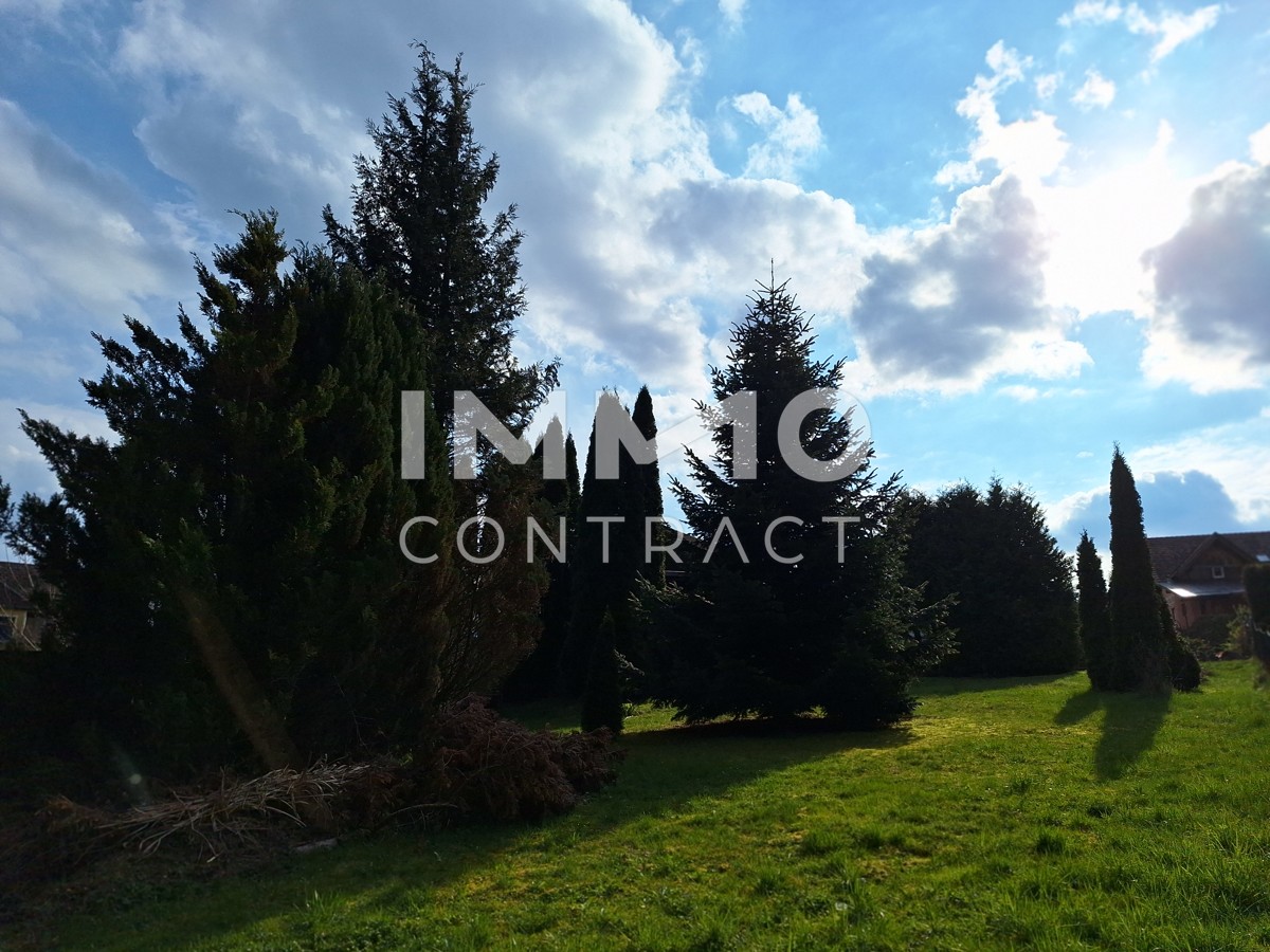 Sonniges Grundstck mit Gartenhtte /  / 4901 Holzleithen / Ottnang / Bild 7