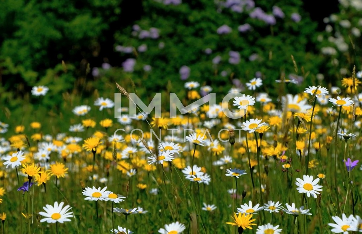 Sonniges Familienzuhause  mit Eigengarten - provisionsfrei! /  / 4030 Linz / Bild 6