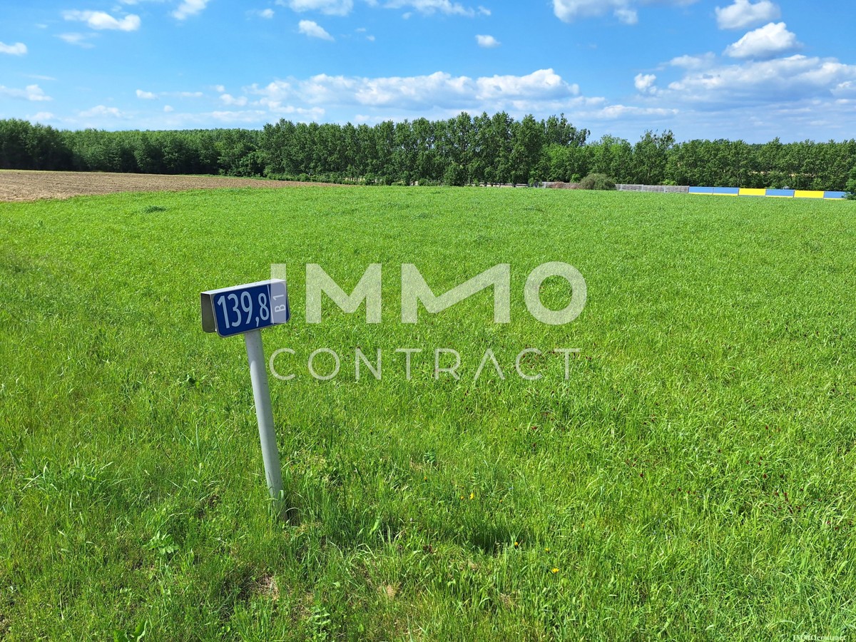 Betriebsbaugrund mit 4.872 m² direkt an der B1 auch erweiterbar! /  / 3311 Zeillern / Bild 5