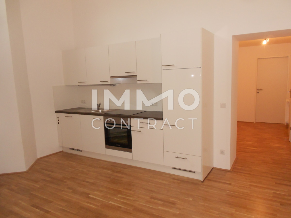 Moderne Galeriewohnung  in der Zollamtstrae 7 "Palais Zollamt" - W7a.18 /  / 4020 Linz / Bild 1