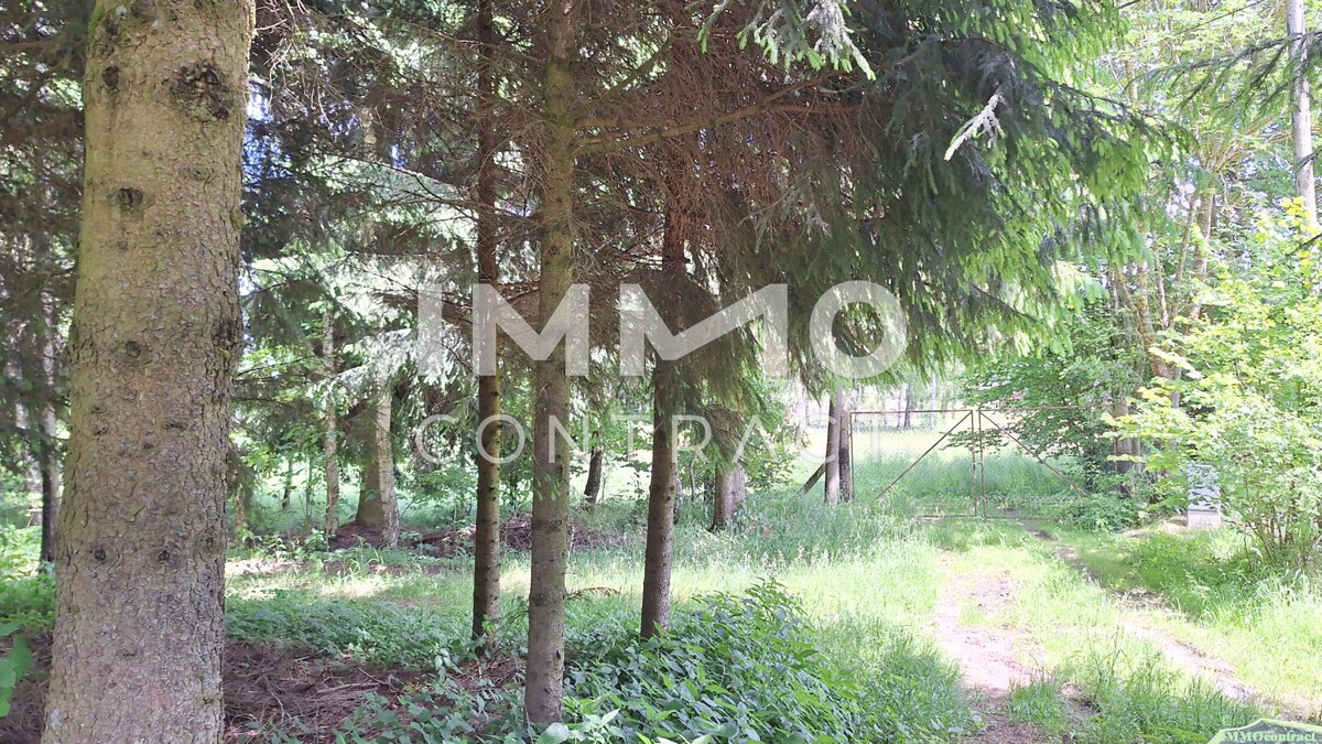 Groes Grundstck mit Fischteich und Badeteich, Erholungsanlage, Freizeitparadies mit viel Potenzial /  / 3632 Bad Traunstein / Bild 7