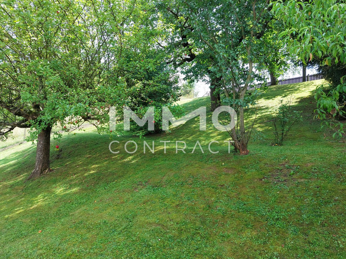 BRUCK: SONNIGES SCHNES WOHNHAUS MIT GARTEN UND GARAGE /  / 8600 Bruck an der Mur / Bild 3