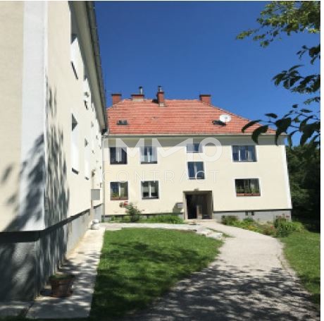 Vierzimmerwohnung im Sdburgenland - Mit Gemeinschaftsgarten, auch mit Gemseanbau , grne Ruhelage /  / 7432 Oberschtzen / Bild 9