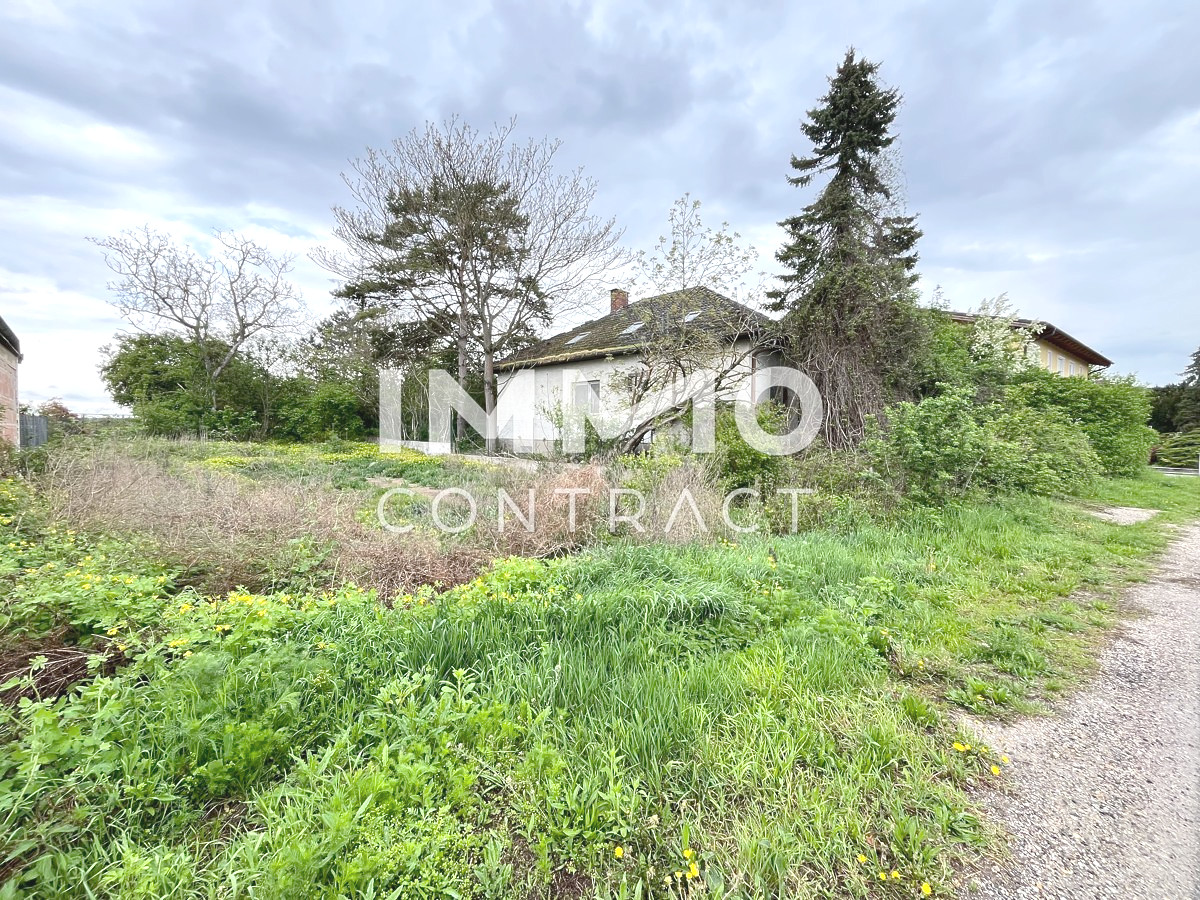 Großes Grundstück Bauland Agrar