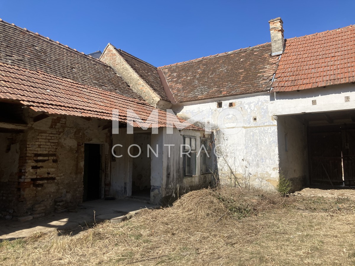 Groes Grundstck / 2.770m mit einem Abrisshaus und einem Bauernhaus /  / 2143 Grokrut / Althflein / Bild 5