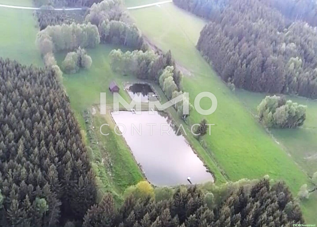 Groes Grundstck mit Fischteich und Badeteich, Erholungsanlage, Freizeitparadies mit viel Potenzial /  / 3632 Bad Traunstein / Bild 2