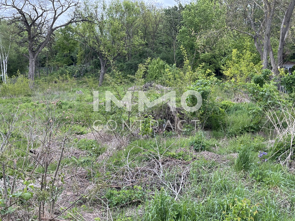 Verwirklichen Sie ihren Traum
Grundstck mit 5273 m Bauland Agrar /  / 2134 Enzersdorf bei Staatz / Bild 5