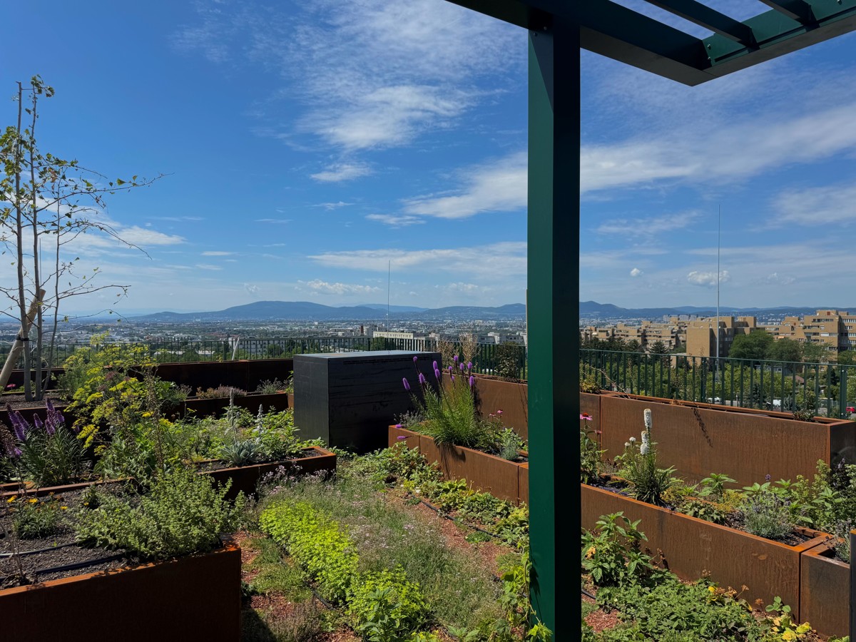Provisionsfrei - Wie im Urlaub! Luxuris Wohnen - 4. Stock mit Ausblick /  / 1100 Wien, Favoriten / Bild 11