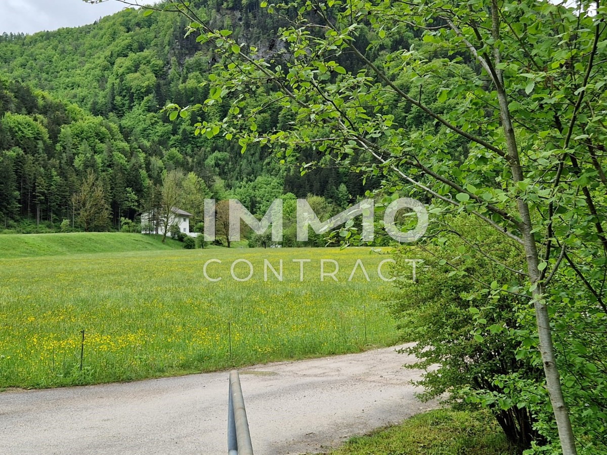 Zweifamilienhaus - absolute Alleinlage / / 3291 Kienberg / Bild 5