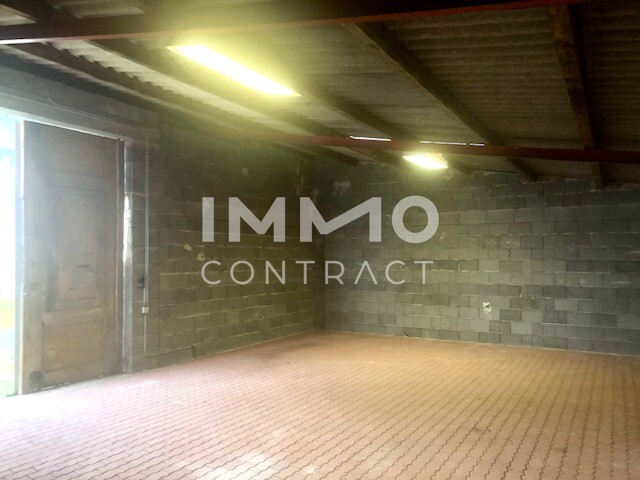 LANDHAUS mit Innenhof + BAULAND mit Garagengebäude / / 2061 Hadres / Bild 9