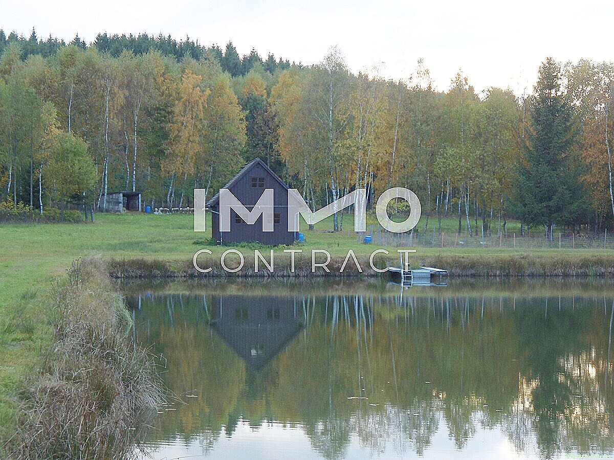 Groes Grundstck mit Fischteich und Badeteich, Erholungsanlage, Freizeitparadies mit viel Potenzial /  / 3632 Bad Traunstein / Bild 3