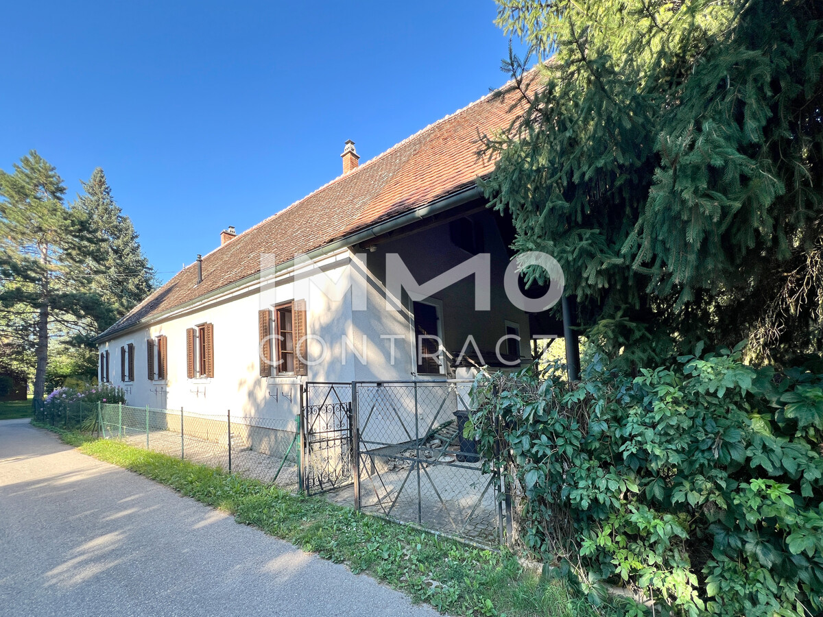 6Zi -Landhaus in idyllischer Lage am Kamp /  / 3562 Schnberg am Kamp / Bild 2