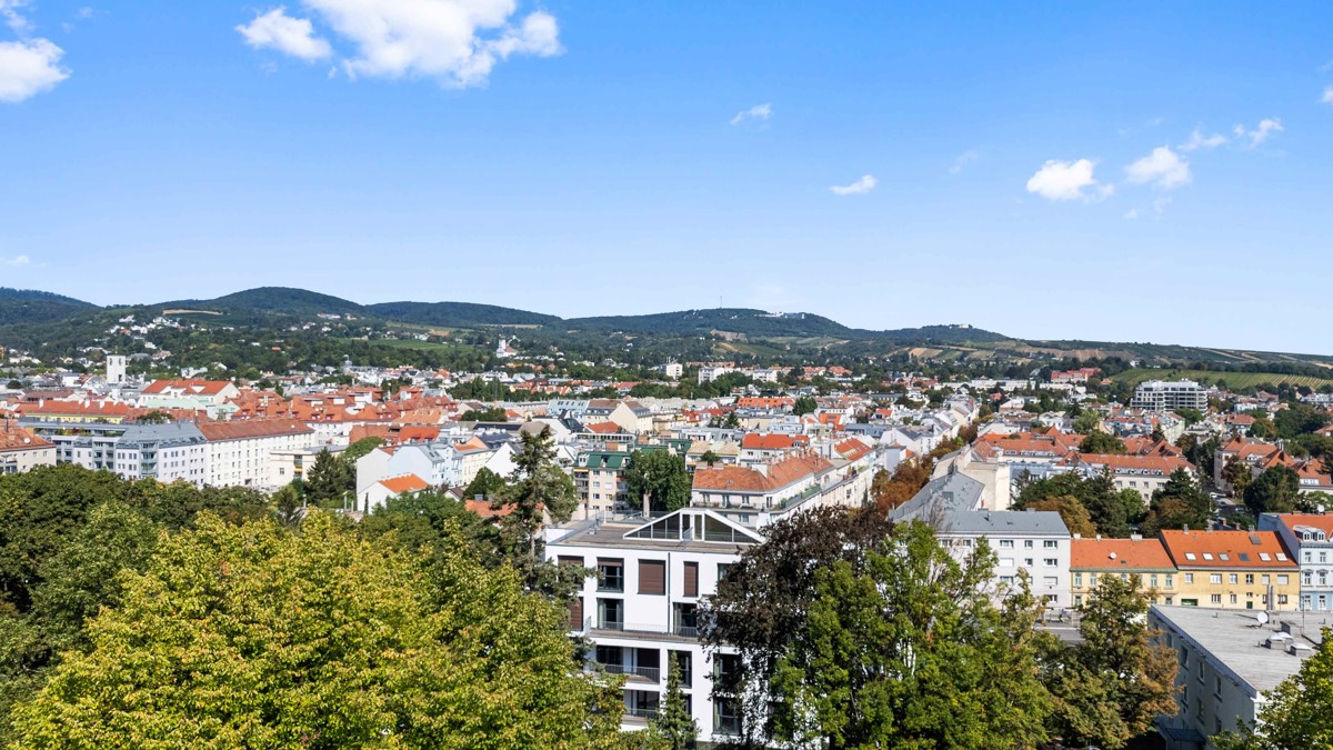 Penthouse - Palais & Villa - Ein Wohnjuwel der Extraklasse! 100m2 Terrasse /  / 1190 Wien / Bild 3