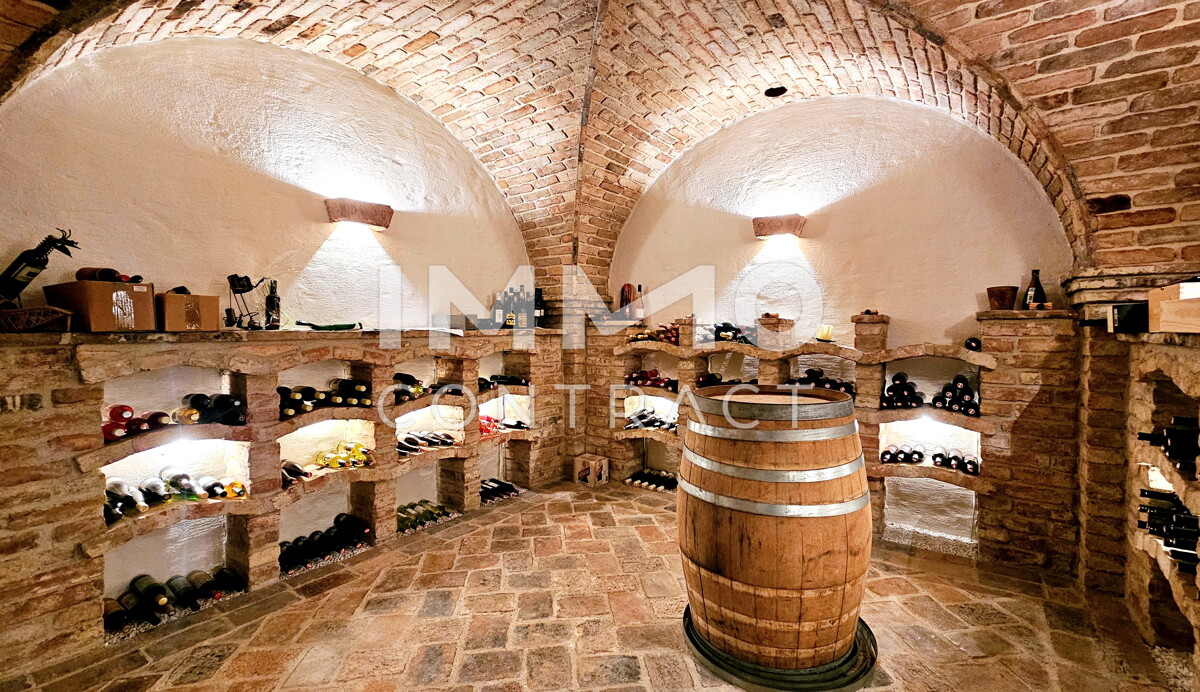 Behagliches Zuhause mit Weit- und Ausblick ? Wohnen und Arbeiten in natürlichem Ambiente / / 2763 Pernitz / Bild 9