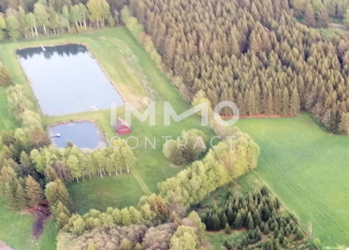 Groes Grundstck mit Fischteich und Badeteich, Erholungsanlage, Freizeitparadies mit viel Potenzial /  / 3632 Bad Traunstein / Bild 4