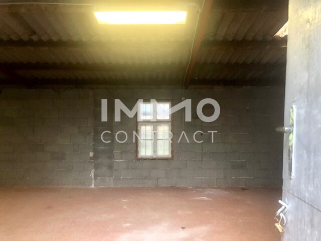 LANDHAUS mit Innenhof + BAULAND mit Garagengebäude / / 2061 Hadres / Bild 0