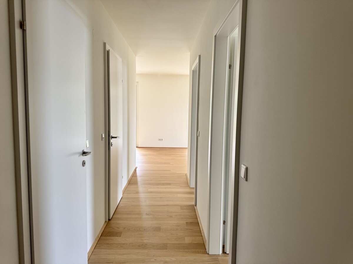 Provisionsfrei und Erstbezug: PREIS JETZT SICHNER! - Gerasorfer Strae - Von Der Sonne geksst /  / 1210 Wien / Bild 3
