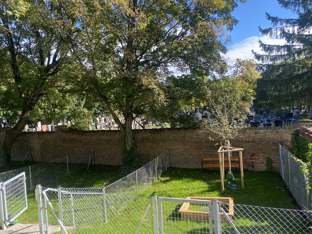 U3 Townhouse - 4 Zimmer Gartenwohnung+2 B�der - ERSTBEZUG 3 bedroom apartment+garden = DAS LAURENZ = /  / 1110&nbsp;Wien / Bild 8