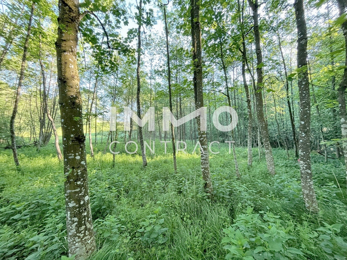 Erholung pur im eigenen Wald mit Bach und Wiesen nhe Amstetten
