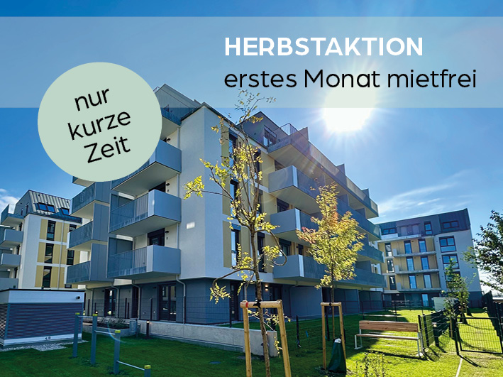 1 Monat Mietzinsfrei: Erstbezug im Grnen Nahe der U2 - zwischen Badeteich Hirschstetten & Seestadt /  / 1220 Wien / Bild 7