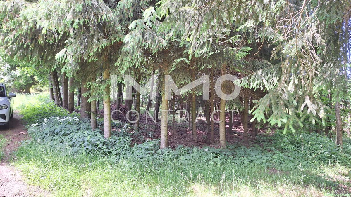 Groes Grundstck mit Fischteich und Badeteich, Erholungsanlage, Freizeitparadies mit viel Potenzial /  / 3632 Bad Traunstein / Bild 4