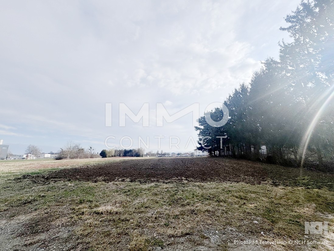 Tolle Lage in Oberwart - Gewerbegrundstck am Stadtrand /  / 7400 Oberwart / Bild 7
