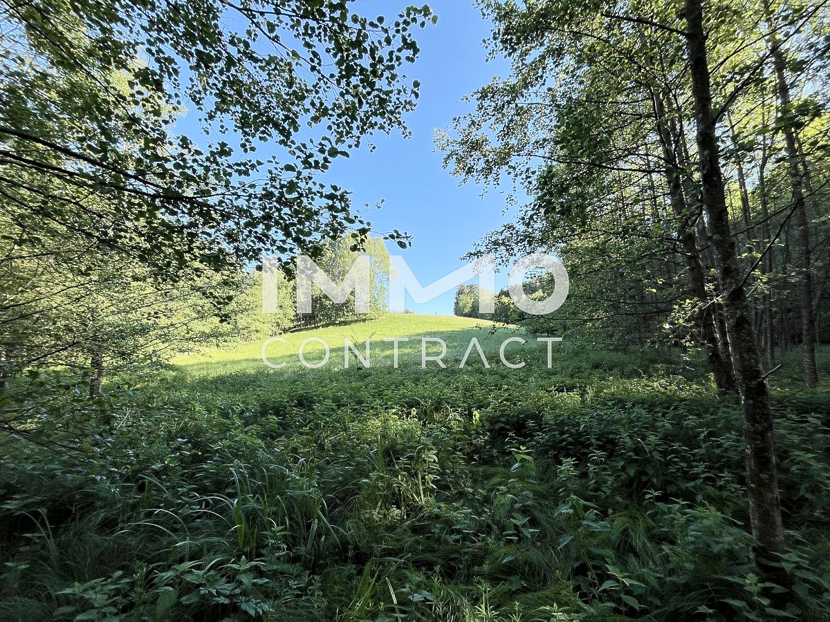 Erholung pur im eigenen Wald mit Bach und Wiesen nhe Amstetten /  / 3321 Ardagger Stift / Bild 5