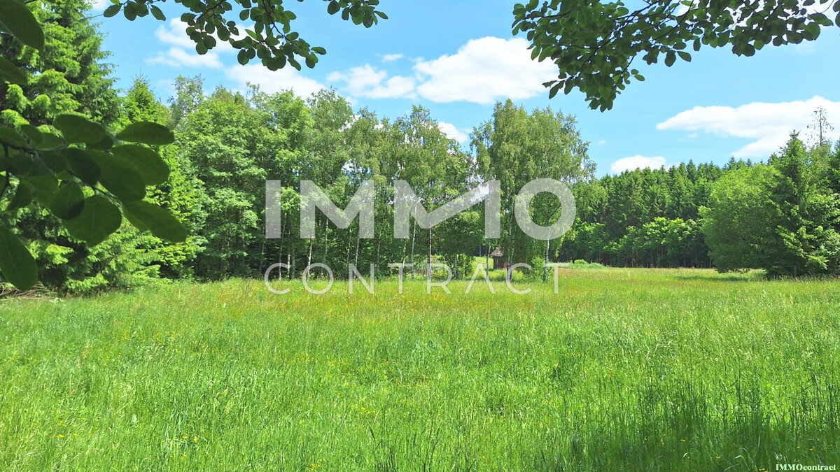 Groes Grundstck mit Fischteich und Badeteich, Erholungsanlage, Freizeitparadies mit viel Potenzial /  / 3632 Bad Traunstein / Bild 3