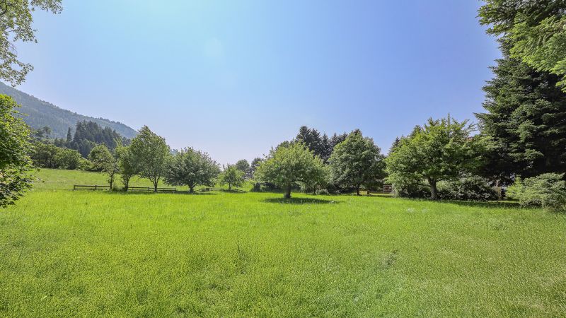 Idyllisches 3.491 m Freilandgrundstck mit Altbestand /  / 6300 Wrgl / Bild 5