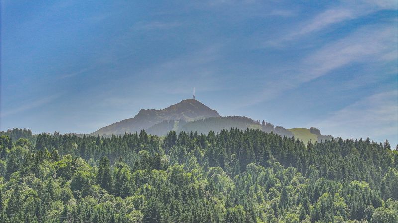 Exklusives Neubau-Penthouse mit Kaiserblick /  / 6380 St. Johann in Tirol / Bild 7