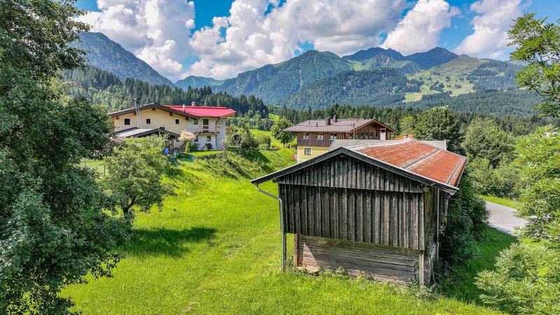 Baugrundstck mit Einfamilienhaus-Planstudie /  / 6395 Hochfilzen / Bild 8