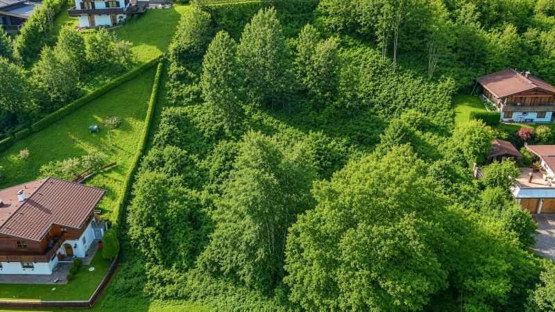 Großzügiges Grundstück mit traumhaftem Ausblick / / 6370 Kitzbühel / Bild 8