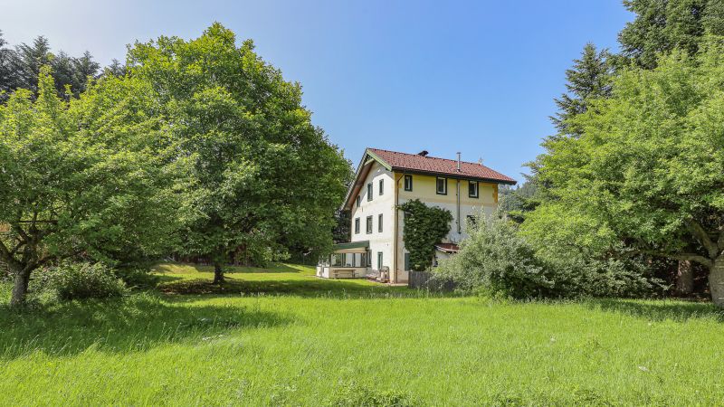 Idyllisches 3.491 m Freilandgrundstck mit Altbestand