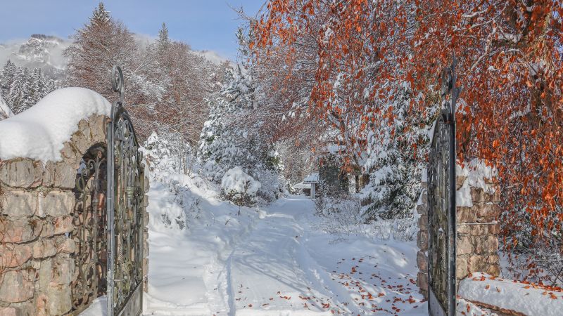 Grundst�ck mit �ber 4.000 m� in absoluter Toplage /  / 6380&nbsp;St. Johann in Tirol / Bild 4