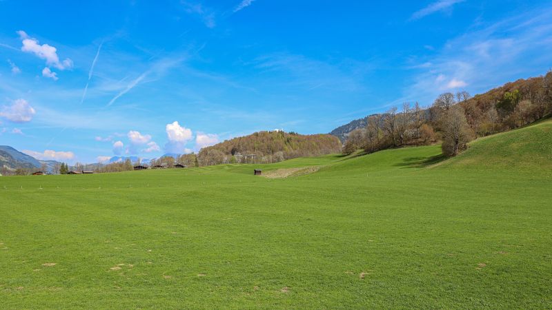 Landhaus in sonniger & idyllischer Toplage /  / 6371&nbsp;Aurach bei Kitzb�hel / Bild 9