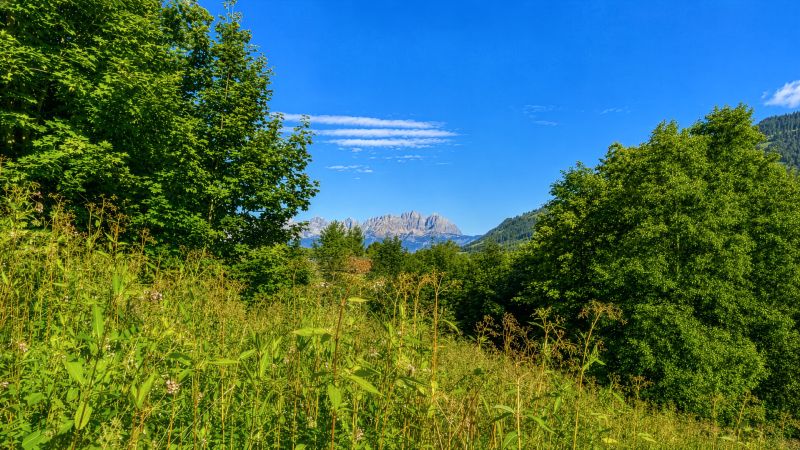 Großzügiges Grundstück mit traumhaftem Ausblick / / 6370 Kitzbühel / Bild 4