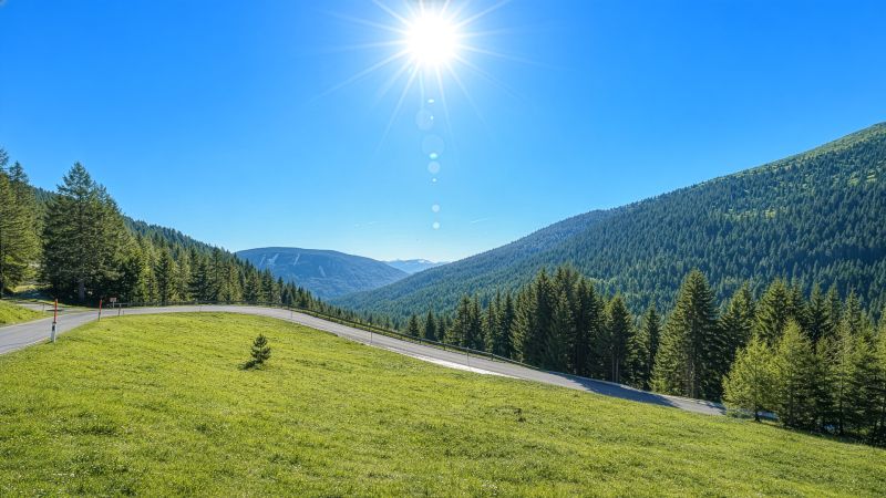 9 baugenehmigte Chalets mit Freizeitwohnsitzwidmung /  / 9564&nbsp;Falkertsee / Bild 9