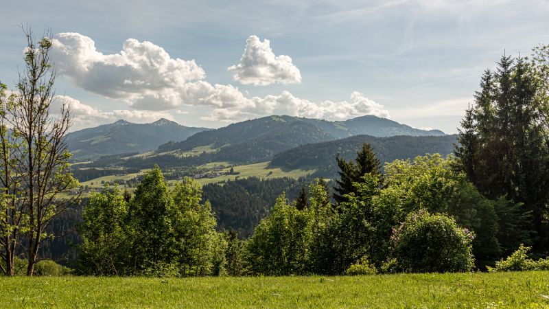 Grundst�ck mit Baugenehmigung f�r 2 Luxuschalets /  / 6305&nbsp;Itter / Bild 3