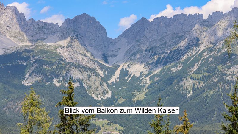Freizeitwohnsitz mit unverbaubarem Kaiserblick - Ski in / Ski out / / 6352 Ellmau am Wilden Kaiser / Bild 2
