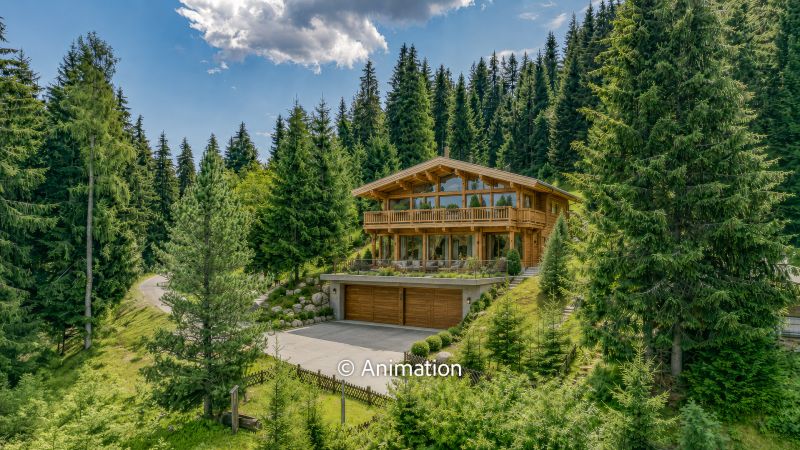 Freizeitwohnsitz mit unverbaubarem Kaiserblick - Ski in / Ski out / / 6352 Ellmau am Wilden Kaiser / Bild 6