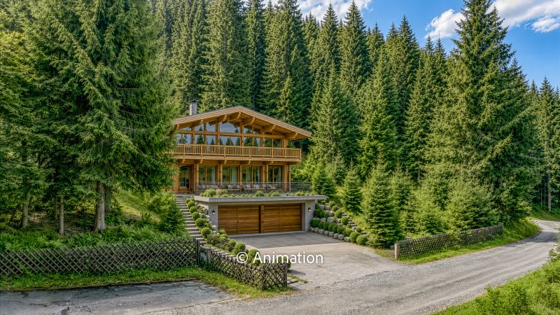 Freizeitwohnsitz mit unverbaubarem Kaiserblick - Ski in / Ski out / / 6352 Ellmau am Wilden Kaiser / Bild 7